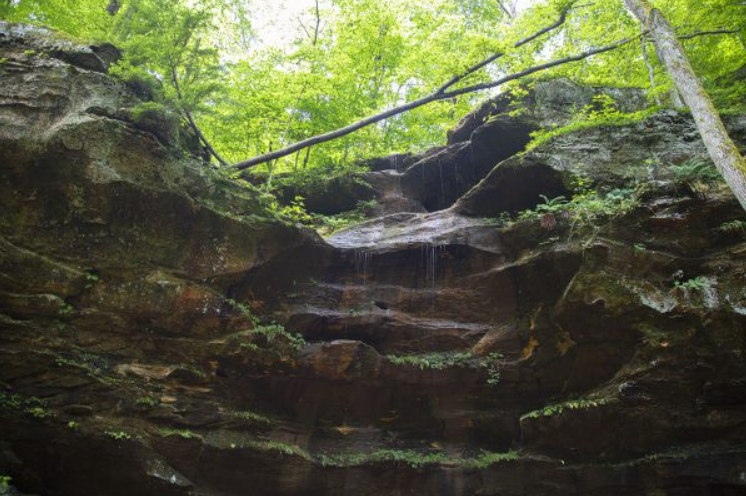 5 hidden gems to visit in Indiana's Hoosier National Forest this summer