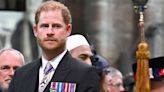 Lip reader says 'fed up' Prince Harry let slip details of mystery meeting