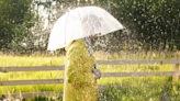 Disminuirán las lluvias para este lunes feriado, dice Onamet