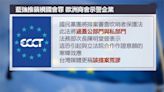 國民黨將提不信任案威脅行政院？ 李坤城：那就解散國會！