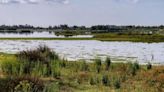 Ecologistas alertan de que la sobreexplotación del acuífero de Doñana "sobrepasa los límites viables"