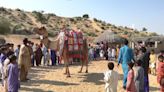 A mobile library reaching children in remote villages of Pakistan