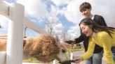 好久不見 歡迎來到日本神戶動物王國 向好朋友動物們打招呼