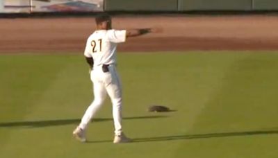 Baseball fans left speechless after 'fastest turtle of all time' invades field