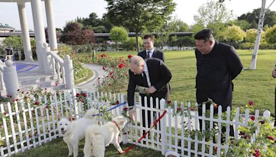 金正恩、普廷玩交換禮物 北韓國寶猛犬「豐山犬」換俄國豪車