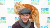 Bobby Flay Announces Death of Cat Nacho, Foodies Send Condolences