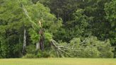 National Weather Service assessing whether storm in Anderson County was a tornado