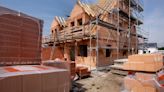 Government moves to phase out common building material due to damaging effects: 'The market demand could be created through promotion'