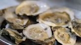 Study shows contaminants in oysters