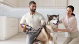 Would You Vacuum Your Dog To Stop Uncontrollable Shedding? Dyson’s New Pet Grooming Kit Promises Exactly That