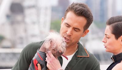 Ryan Reynolds pictured holding Dogpool at Deadpool and Wolverine photo call