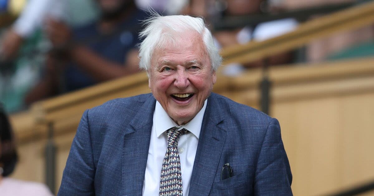 David Attenborough emotional as he receives standing ovation at Wimbledon