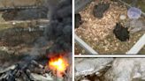 Descarrilamiento de un tren en Ohio provoca desastre ecológico con animales muertos e informes de enfermedades