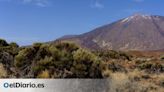 El Gobierno de Canarias y el Cabildo de Tenerife elaborarán un inventario de la flora del Parque Nacional del Teide