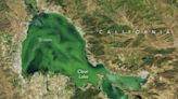 California's Clear Lake turned cloudy green in NASA image