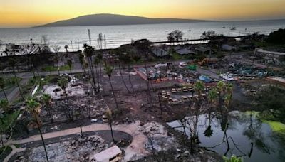 Lahaina: from burn scar to wetlands to renewed hopes - The Boston Globe