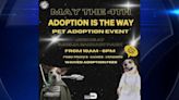 Miami-Dade to celebrate Star Wars Day with themed pet adoption event - WSVN 7News | Miami News, Weather, Sports | Fort Lauderdale