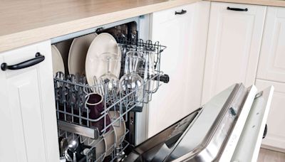 6 Warning Signs to Look Out for Before Buying a New Dishwasher, Pros Say