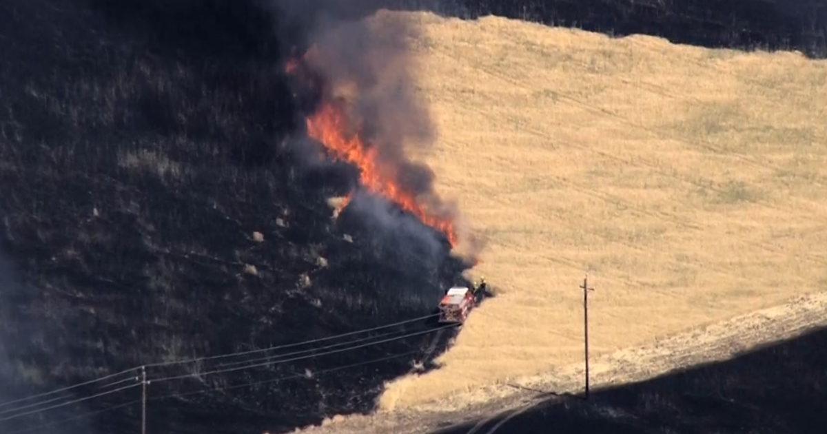 Fire crews stop forward progress of grass fire near Brentwood