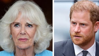 Queen Camilla's reaction to Harry's brutal 'wicked stepmother' comment in Spare