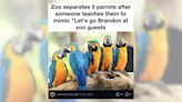 Fact Check: Zoo Separates Parrots After They Chant ‘Let’s Go Brandon’?