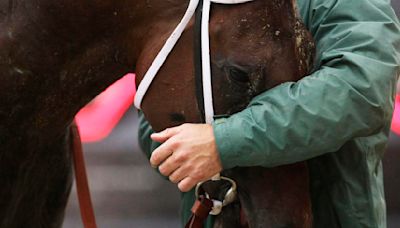 Kentucky Derby deaths bring changes ahead of Saturday's race