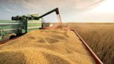 El valor de la soja cayó un 2,1% en Chicago y se mantuvo en el nivel más bajo desde noviembre de 2020