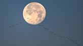 Cold Moon 2023: The final full moon of the year rises this Christmas