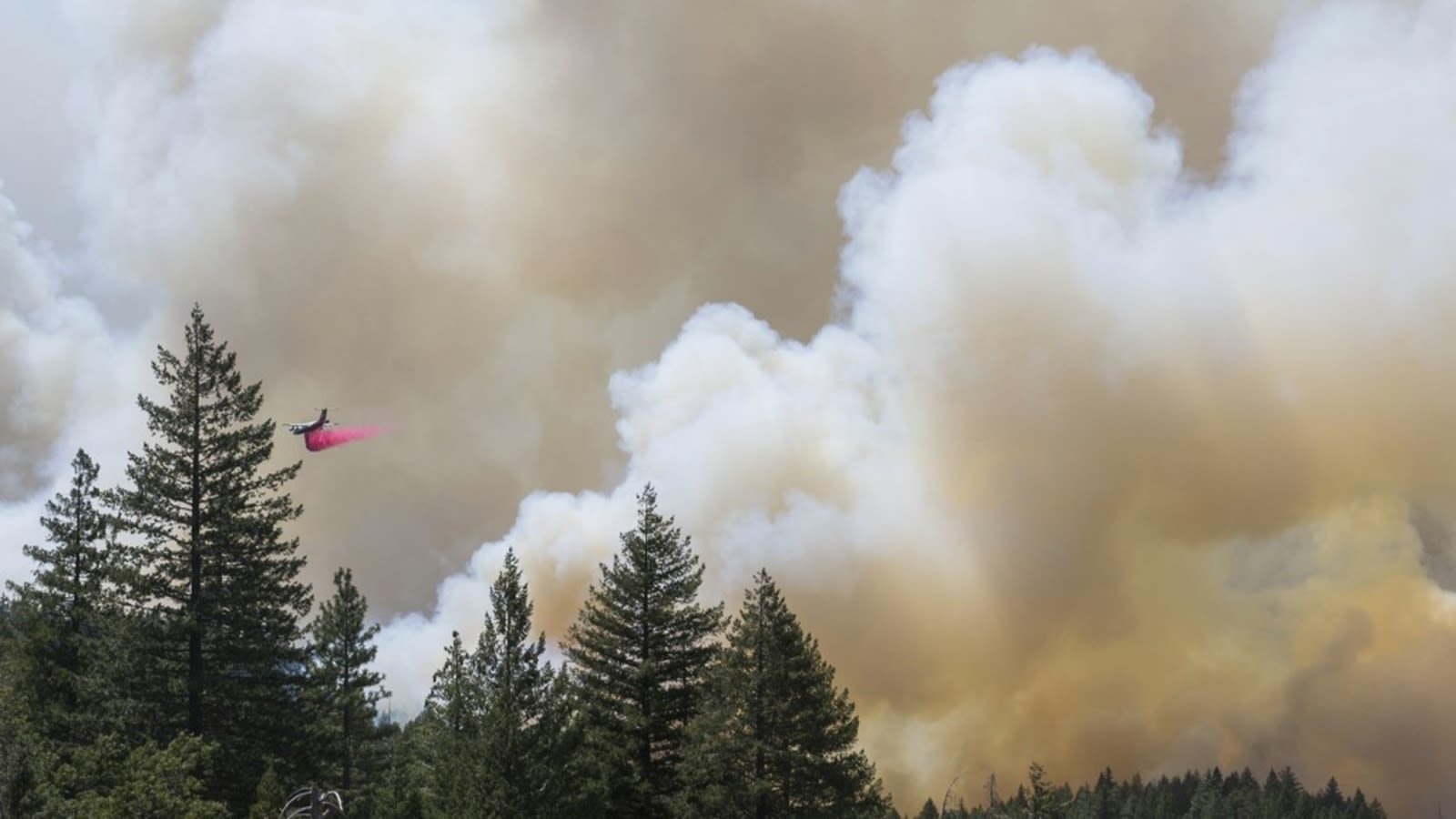 Wildfire smoke may be worse for your brain than other air pollution, study says