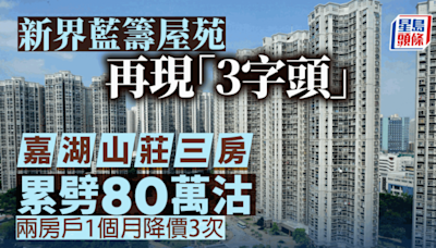 新界藍籌屋苑再現「3字頭」嘉湖山莊三房戶累劈80萬沽 呎價險守7000元關口