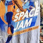 Lebron Jeams絨毛毯NBA
