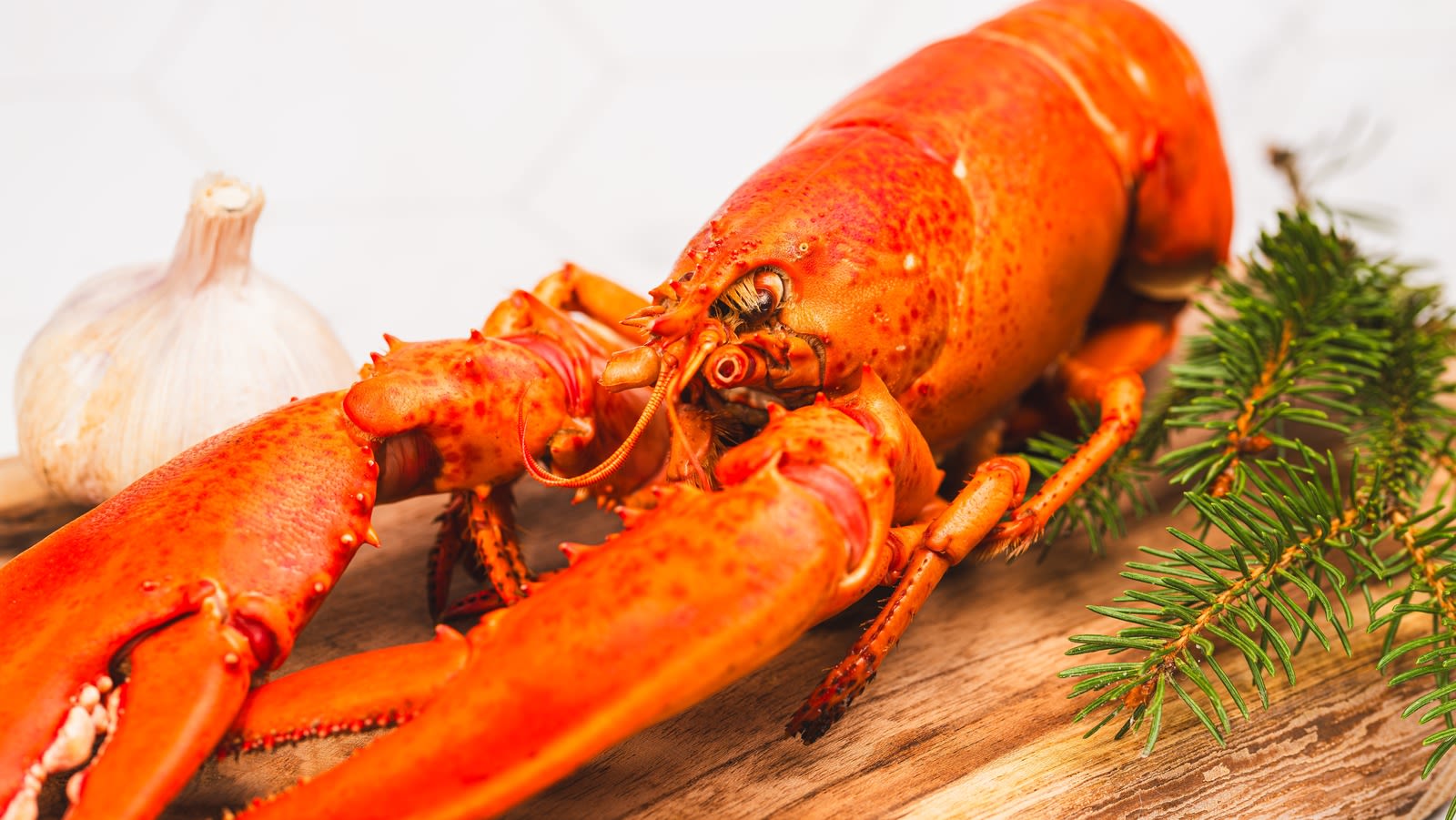 The 'Naked' Lobsters At Costco That Are Giving Serious Alien Vibes