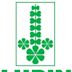 Lupin Limited