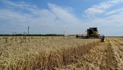 Polonia considera improbable un avance en las negociaciones de Varsovia sobre el grano ucraniano