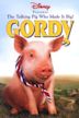 Gordy