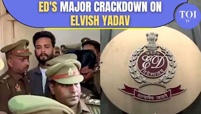 Bigg Boss OTT 2 Winner Elvish Yadav & Singer Fazilpuria Lands In Soup: ED Seizes Properties