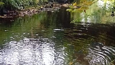 Warning after lifebuoy found discarded at popular riverside area in Co Roscommon