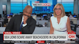 CNN anchor laughs so hard he can hardly speak after showing viral video