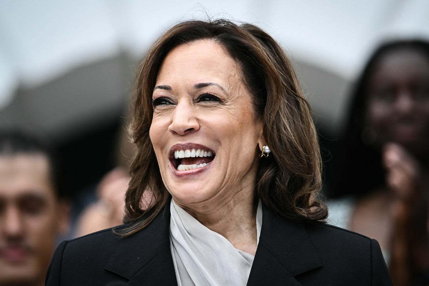 Black men backing Kamala Harris fuel another fundraising spree