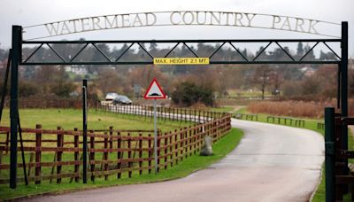 Man arrested after police dog dies following search of water at country park