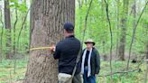 Article on old-growth forest near Cleveland points to need to preserve forest protections in Farm Bill: Letter to the Editor