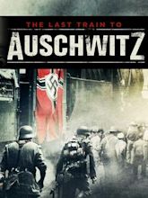 Auschwitz: The Last Journey