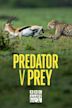 Predator v Prey