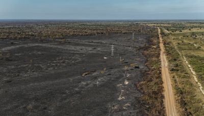 El humedal del Pantanal perdió un 61 % de su área acuática por la sequía y los incendios