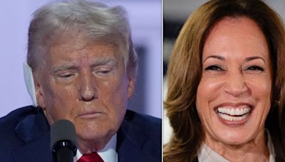 Trump Pollster Warns Campaign A 'Harris Honeymoon' Is Coming