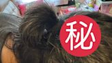 春季名物！港男頭髮驚現14粒不明「綠色粒粒」整齊排列 真身曝光勁嚇人