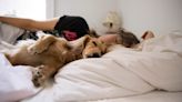 Pets May Take a Toll on Your Sleep, Study Suggests