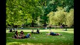 Glimpses of British summertime cheer