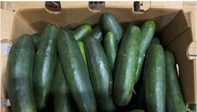 Salmonella linked to recalled cucumbers could be two separate strains; FDA, CDC investigate