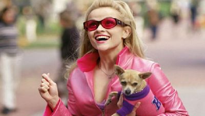 ...Casting For High School Version Of Elle Woods To Star In Legally Blonde Prequel; Here's How You Can Apply